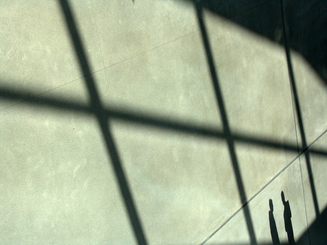 أحدث تقنيات برمجة الويب لتعزيز تجربة المستخدم في مصر